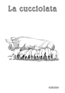 La cucciolata