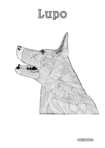 Lupo
